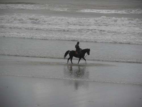 Horseback Riding Beach Ocean