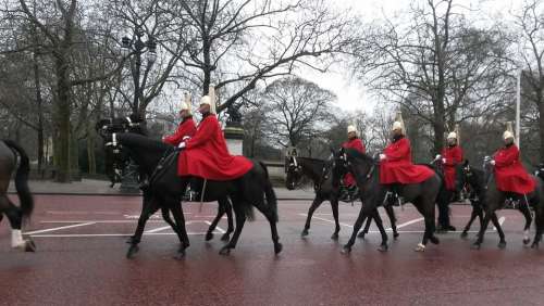 Horses Guard Military In Formation Uniform
