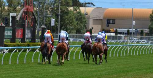 Horses Racing Jockey Sport Rider Track