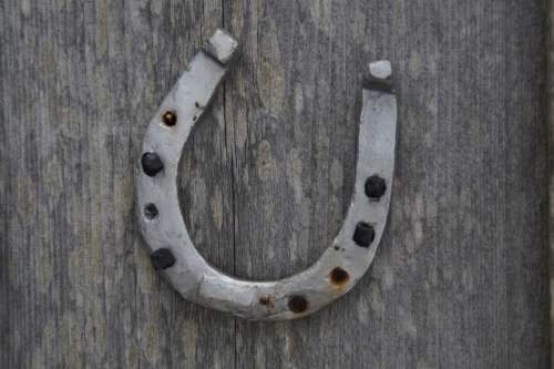 Horseshoe Luck Lucky Charm Suspended Decoration