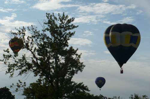 Hot Air Balloons Festival Ballooning Flying