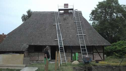 House Reed Roof Renovation Rural Roof Plön