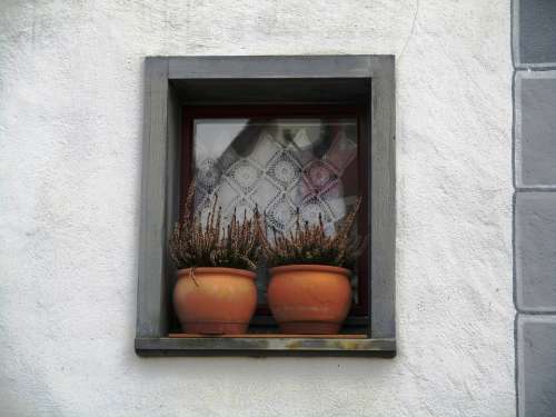 House Window Hauptwil With Plant Sims Clay Pots