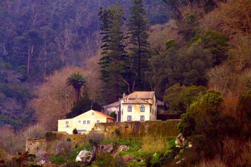 House Old House Romantic Spring Forest Sintra