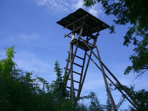 Hunter Was Delight Hunter Seat Wooden Tower Perch