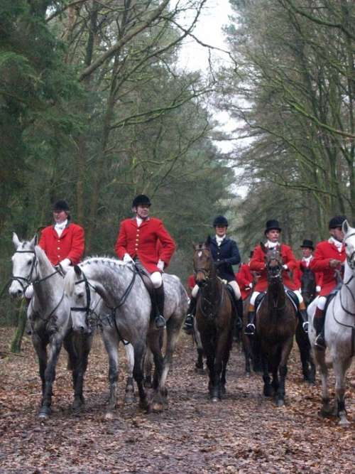 Hunting Horses Drag Autumn Fox Hunting Fox Men