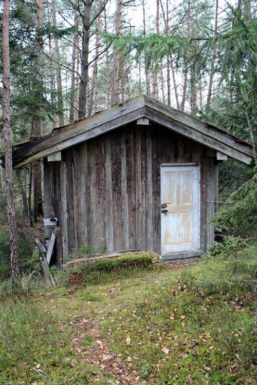 Hut House Woodhouse Log Cabin Forest Nature