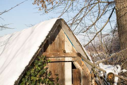 Hut Bird Log Cabin Animal Winter Sweet Snow