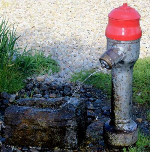Hydrant Fountain Water Flow Stone Plant