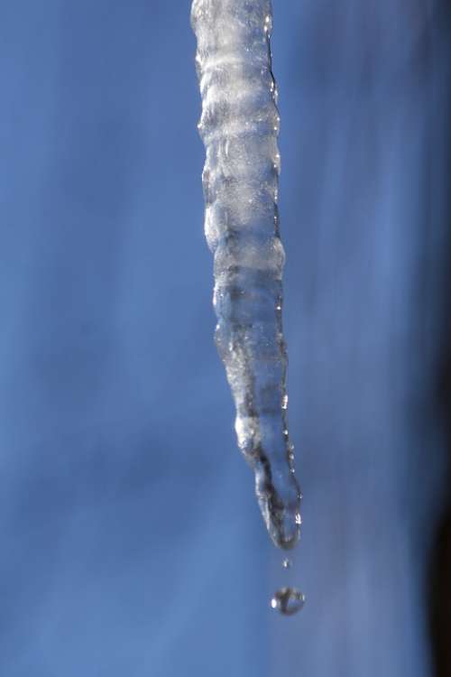 Ice Icicle Cold Winter Roof White Blue Frost
