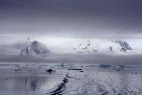 Ice Floes Antarctica Water Polar Region Icy
