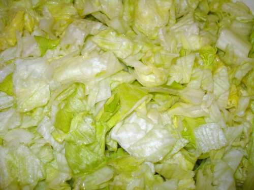 Iceberg Lettuce Salad Head Of Lettuce Vitamins