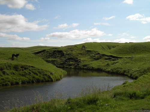 Iceland Nature Horse River Green