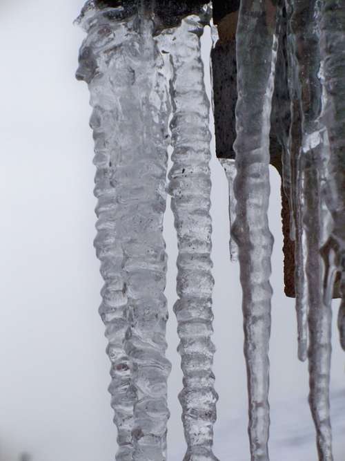 Icicles Winter Ice Frozen Close-Up Freeze Cold
