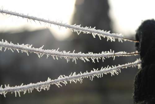 Icing Winter Wire White Cold Macro