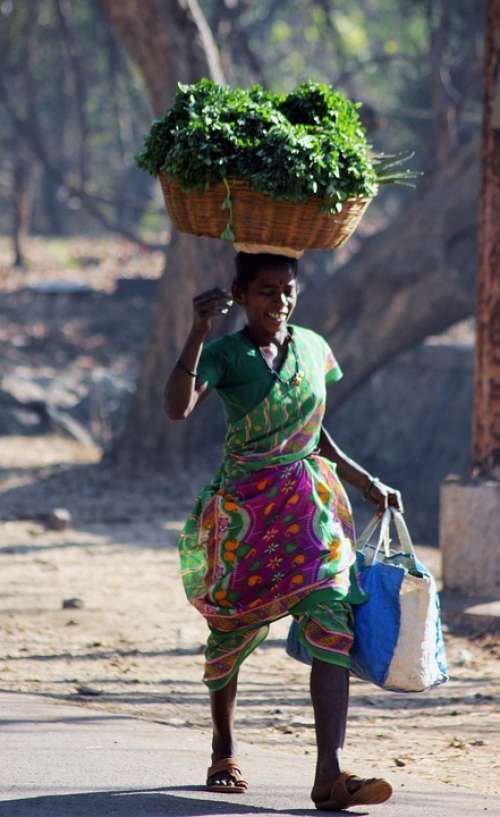 Indian Vegetables Seller Street Carry Head Basket
