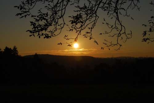 Indian Summer Sunset Backlighting Evening Rest