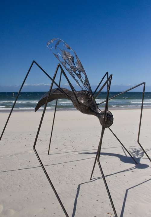 Insect Sculpture Art Black Large Legs Model