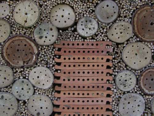 Insect Hotel Nesting Help Drill Holes Entry Openings