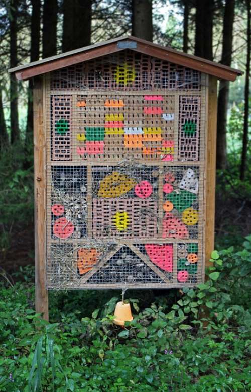Insect Hotel Nesting Help Wild Bees Insect