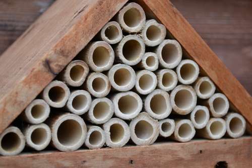 Insect House Bee Leaf Cutter House Bamboo Insects