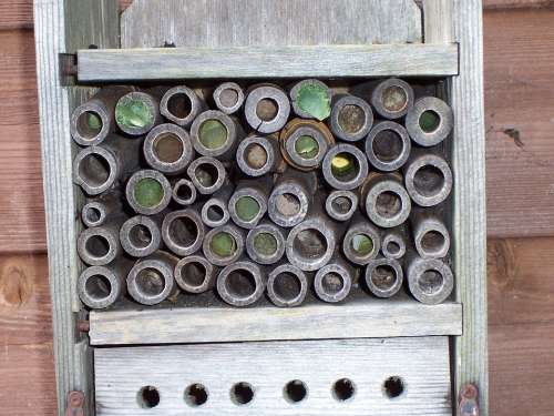 Insect House Leaf-Cutter Bees Mason Bees Leaf
