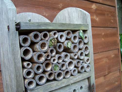 Insect House Leaf-Cutter Bees Mason Bees Leaf