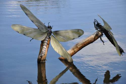 Insects Lake Artificial Insects Dinosaurs