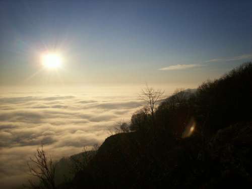 Inversion Tar Stone Beech Hg Forest Fog Cloud