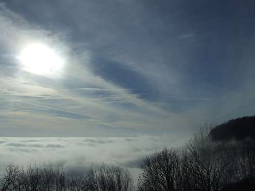 Inversion Cloud Tar Stone Beech Hg Fog Nature