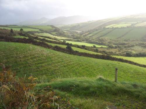 Ireland Field Pasture Landscape Scene Farming