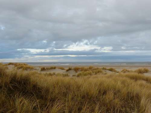 Island East Frisia Coast Sea Breeze Beach Horizon