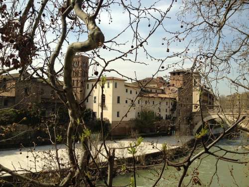 Island Tiber Branches Edge River Spring Rome