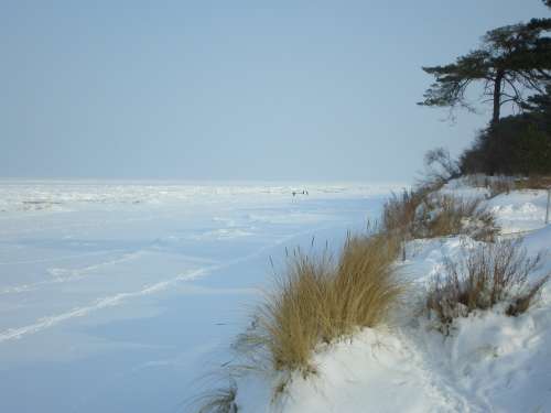 Island Of Usedom Winter Baltic Sea Snow White Cold
