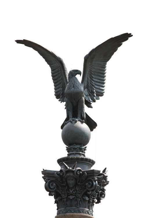 Isolated Adler Statue Sculpture Raptor Monument