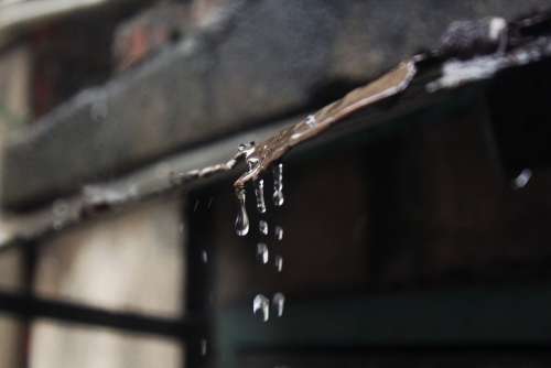 It'S Raining Rain Raindrops Water Droplets
