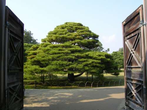 Japan Kyoto Garden