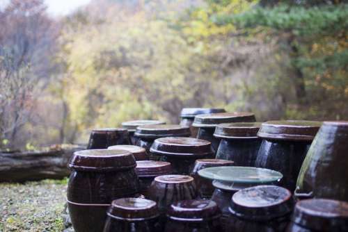 Jar Autumn Storage Autumn Leaves Rural Landscape
