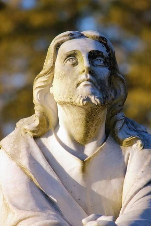 Jesus Religious Statue Male Looking Up Nature