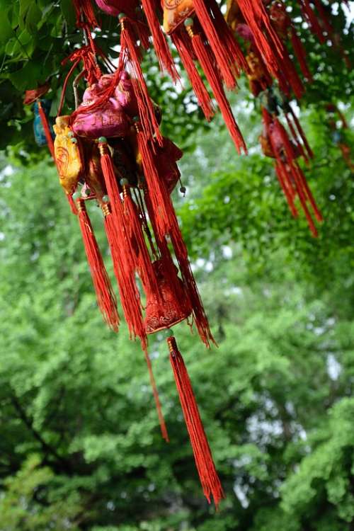 Jin-Li Wish Tree Red Pouch