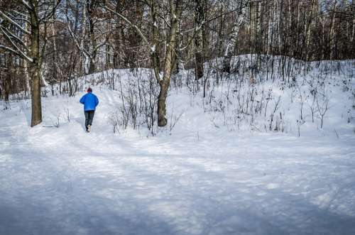 Jogging Winter Snow Tree Nature