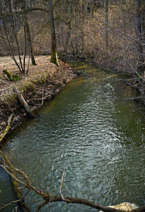 Joist Staříč Borovany River At The Mill
