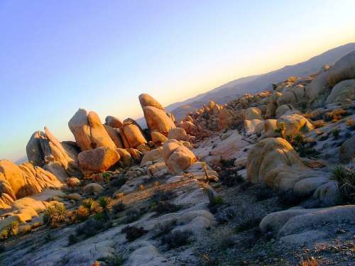 Joshua Tree National Park Boulders Rocks Sunset