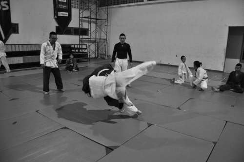 Judo Martial Arts Combat Throw Sport Fight