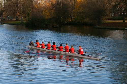 Junior Oarsmen Rowing Boat Rowing Sports Activity