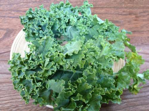 Kale Green Vegetable Curly Kale Plant Produce