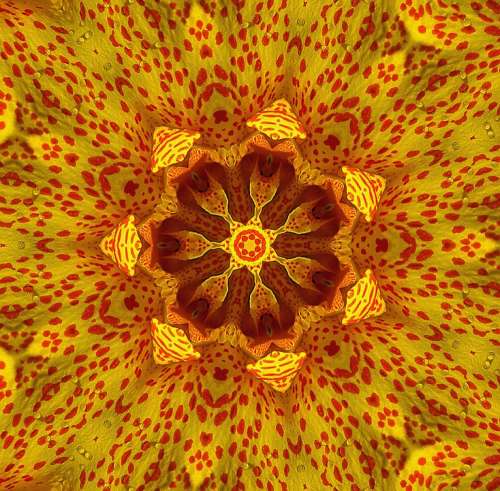 Kaleidoscope Picture Transformation Texture Form