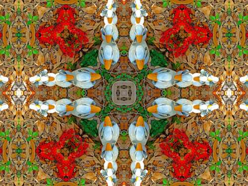 Kaleidoscope Design Ducks Pattern Style Color