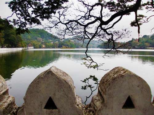 Kandy Lake Tree Lake Park Sri Lanka Mawanella