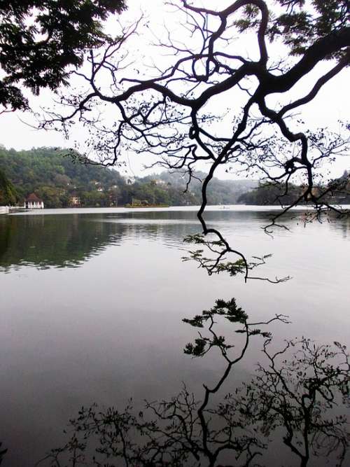 Kandy Lake Lake Kandy Sri Lanka Mawanella Ceylon